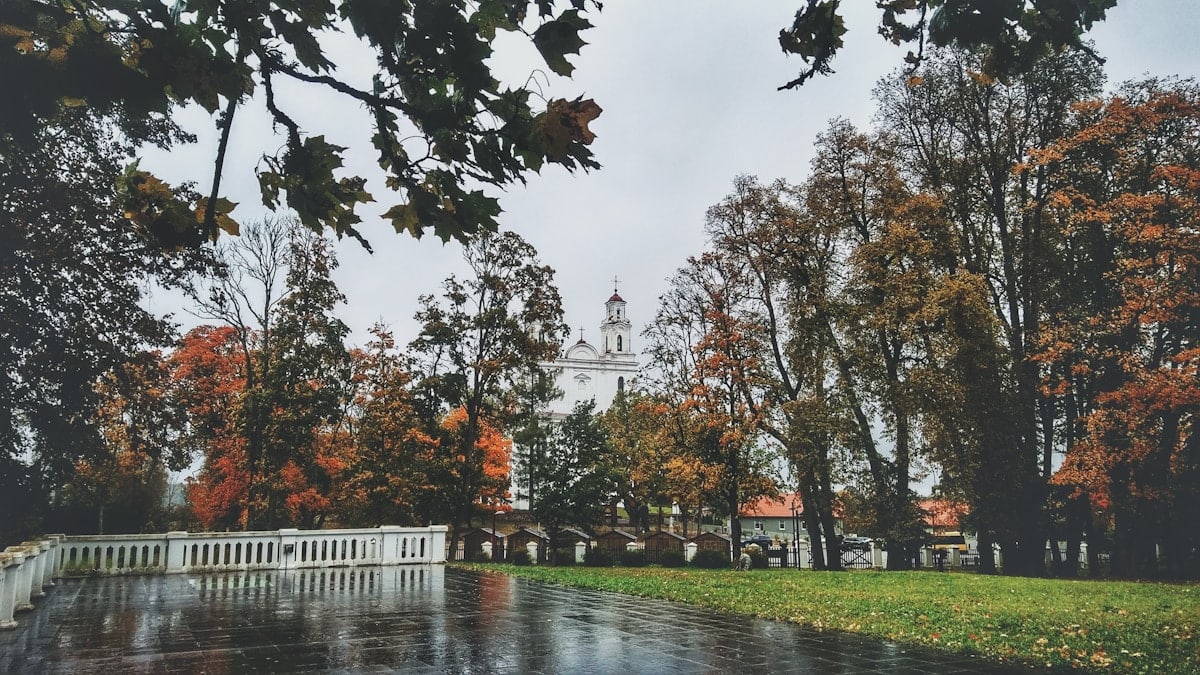 Fizinio aktyvumo nauda šeimai